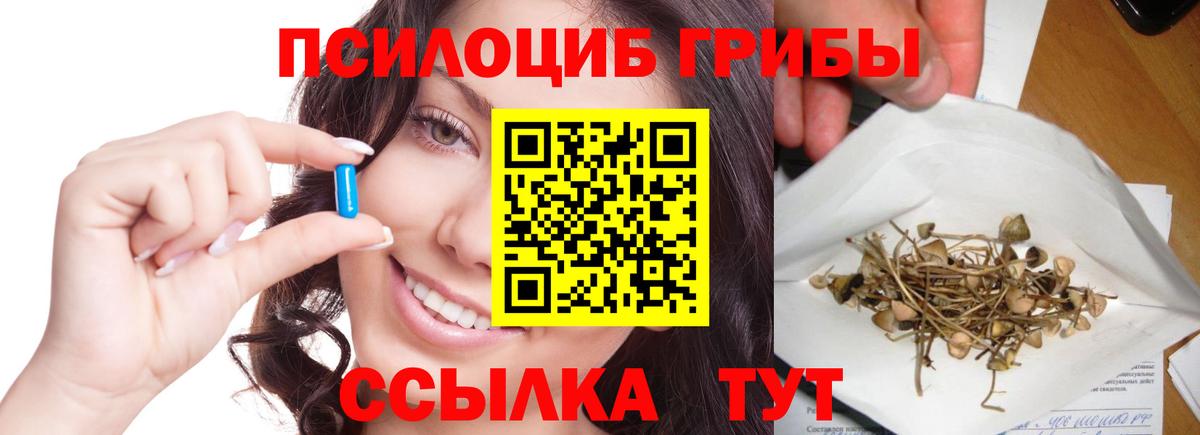 Галлюциногенные грибы Cubensis Когалым