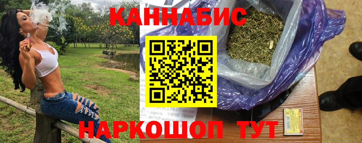 Каннабис сатива Когалым